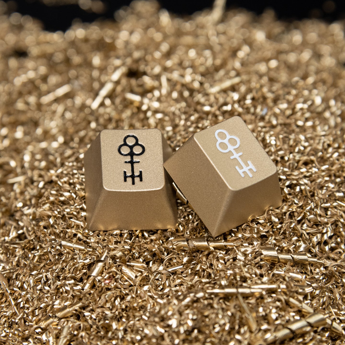 Salvun x Keycult 2024 Artisan Keycap